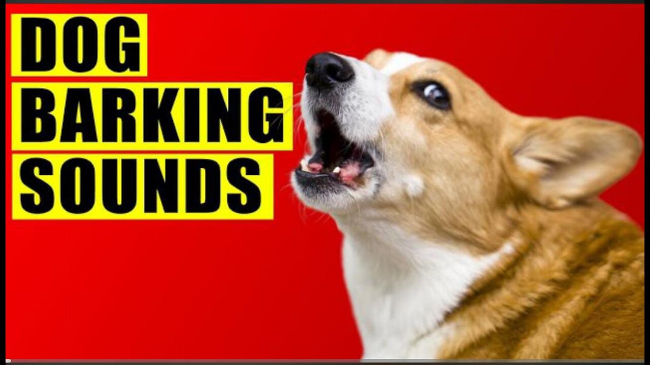 Dog Barking Sounds#DogBarkingSounds #PetSounds #