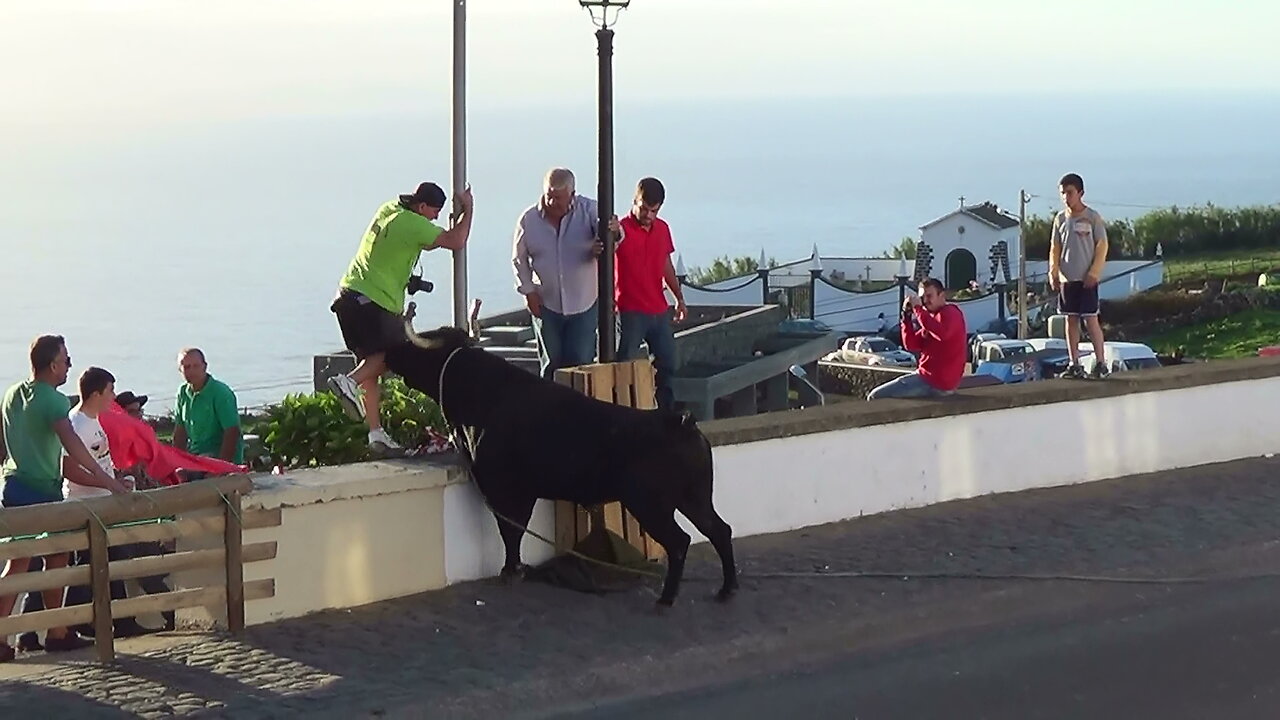 Tourada Ganadarias ER,RB,FS,JAF - Serreta 2015 - Ilha Terceira - Açores