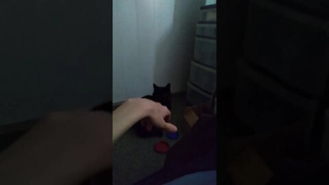 Dance for me Girlfriend 😂