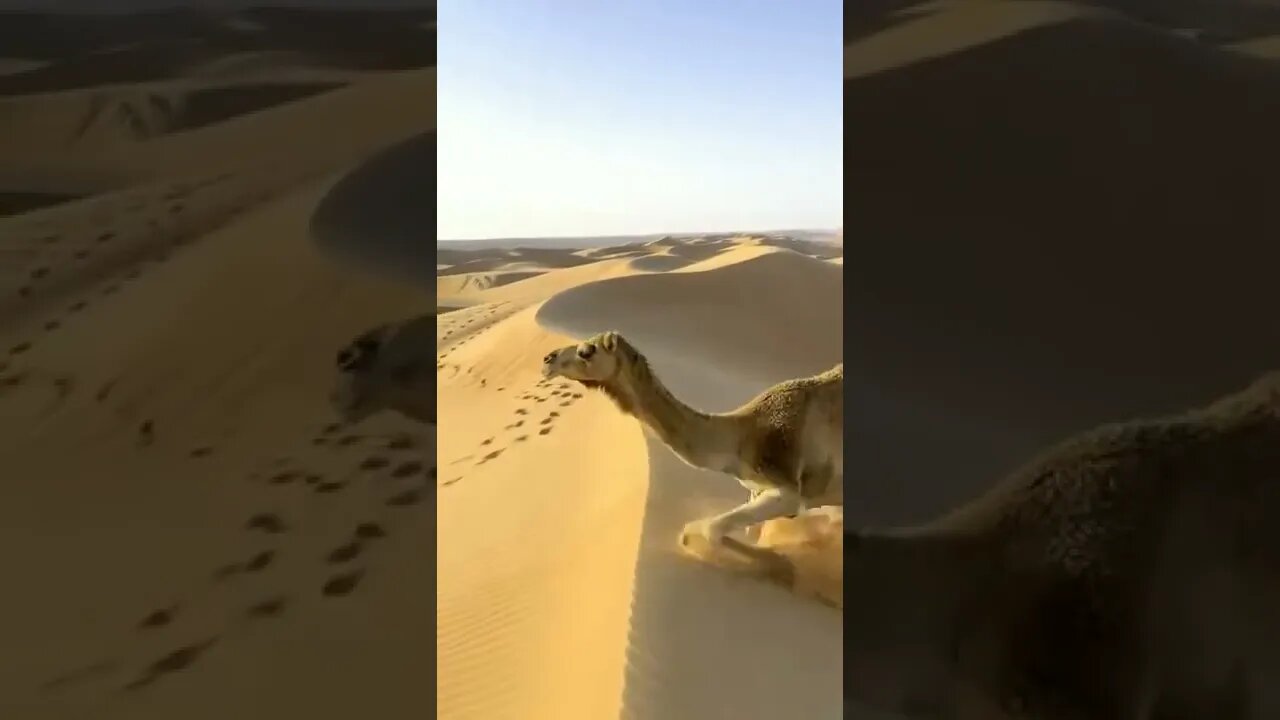 #drivingfails #shorts