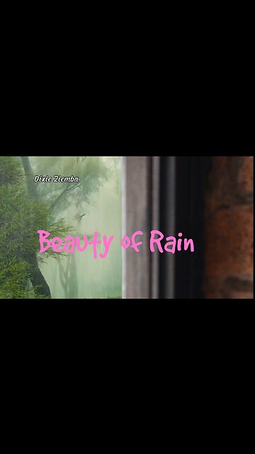 Beauty of Rain