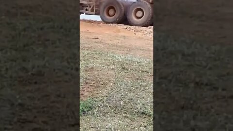 viral and trending technology related shorts #viral #trending #howto #how