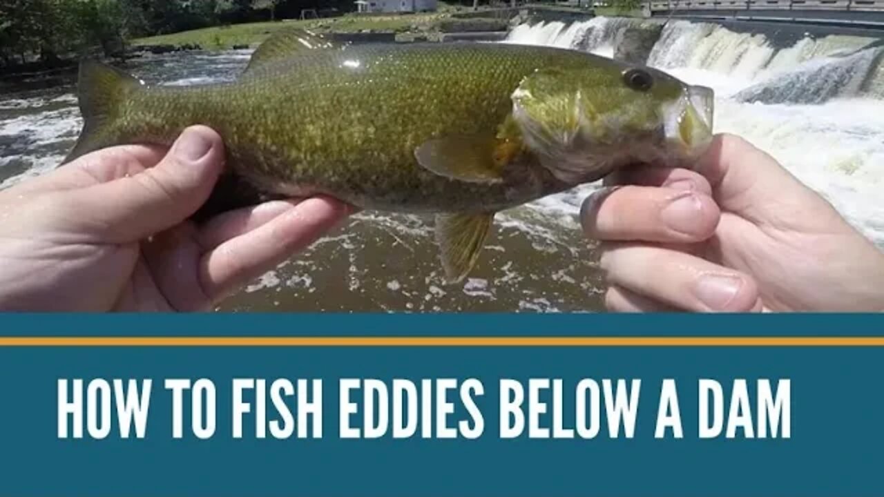 How To Fish Eddies Below A Dam / Michigan Fishing / Rock Bass, Smallmouth Bass, Bluegill On Spinners