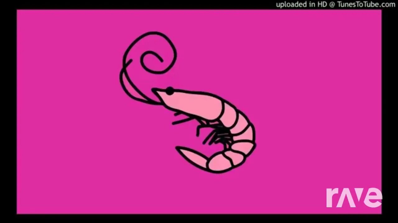The Time & Kero Kero Bonito-The Flamingo