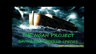 THE NOAH PROJECT