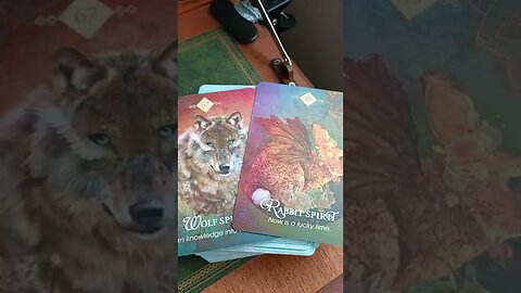 ⚡Timeless Reading⚡ - Animal Spirit Oracle