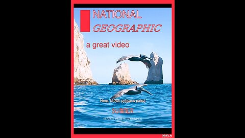 Watch a very cute video of National Geographic