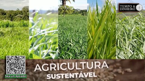 Agricultura sustentável - com Frederico Olivi -RZ
