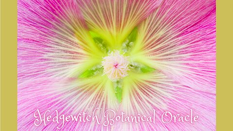 What's Your Flower Power Message Today? ~ Hedgewitch Botanical Oracle