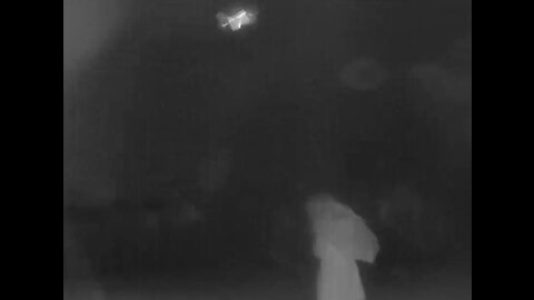 A Ghost & Shoes? Fairy Form Infrared Night Activity