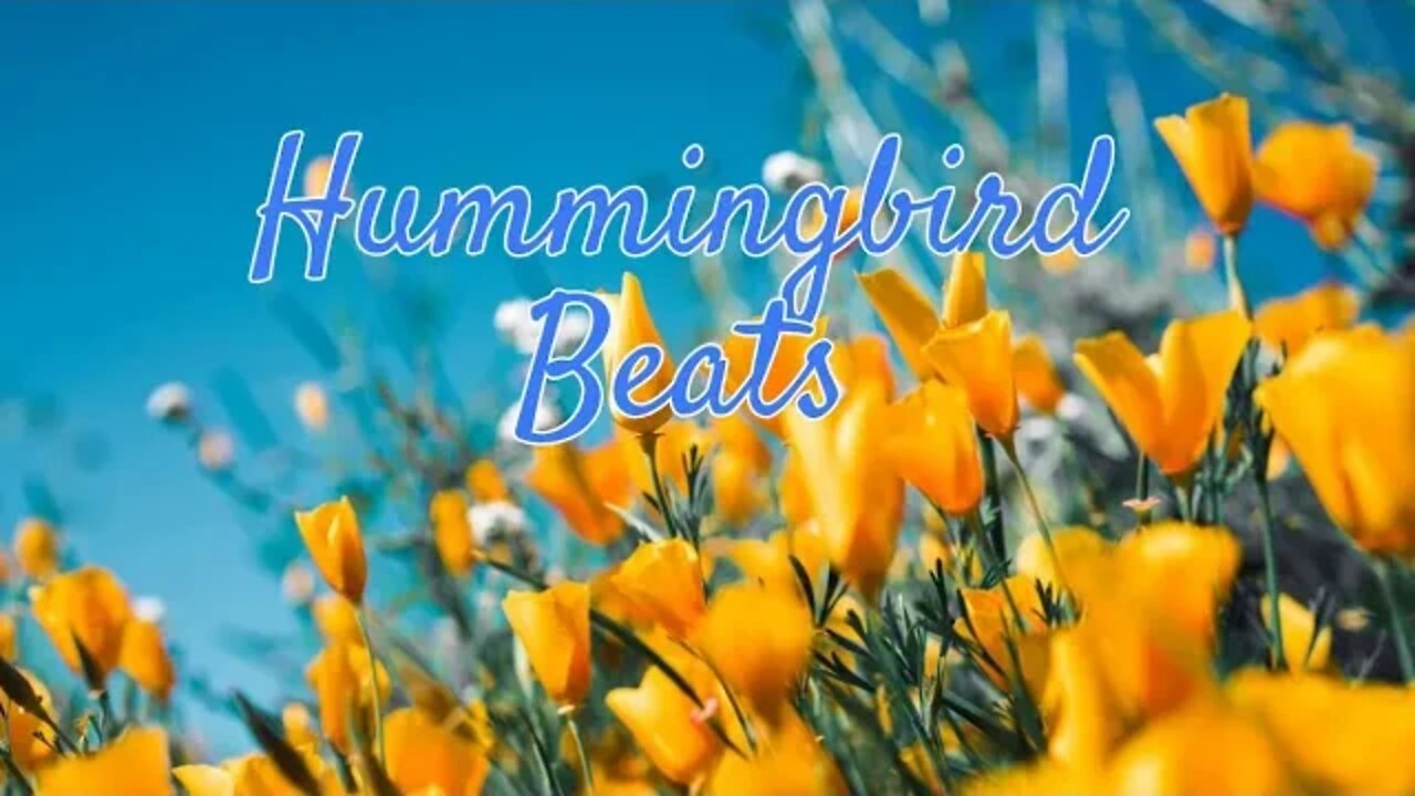 Summer Vibe by Pold (No Copyright Music)