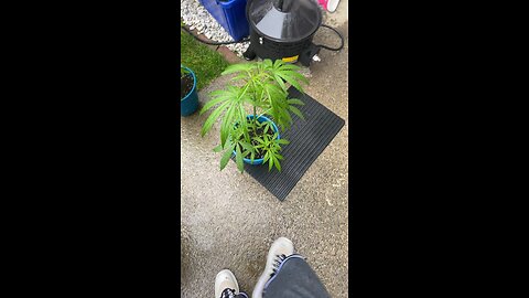 #THEGAS
