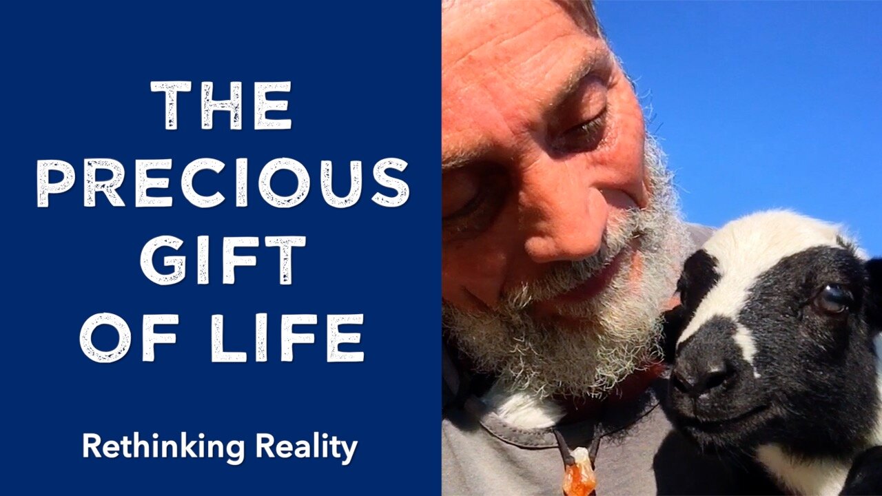 Rethinking Reality: The Precious Gift Of Life | Dr. Robert Cassar