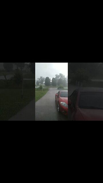 Scot Shorts #11 // Sudden downpour!