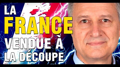 La France Vendue à la Découpe - Laurent Izard