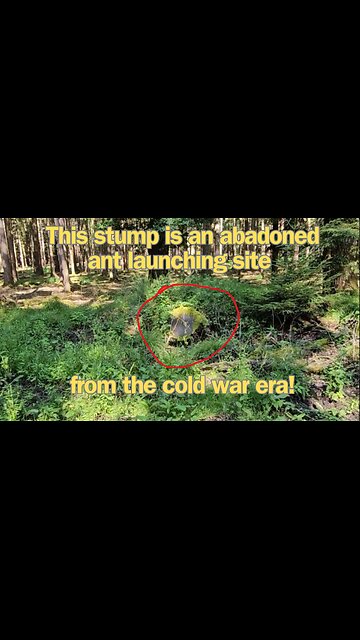 How steel eating ants destroyed german bridges in the cold war