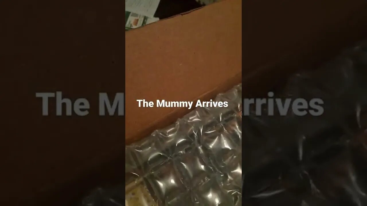 The Mummy Arrvies