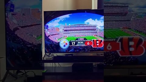 LETS GO #steelers !!! #shorts #viral #trending #pittsburgh #football #sports