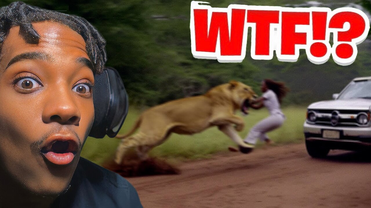 When Animals Go On A Rampage!! | Vince Reacts