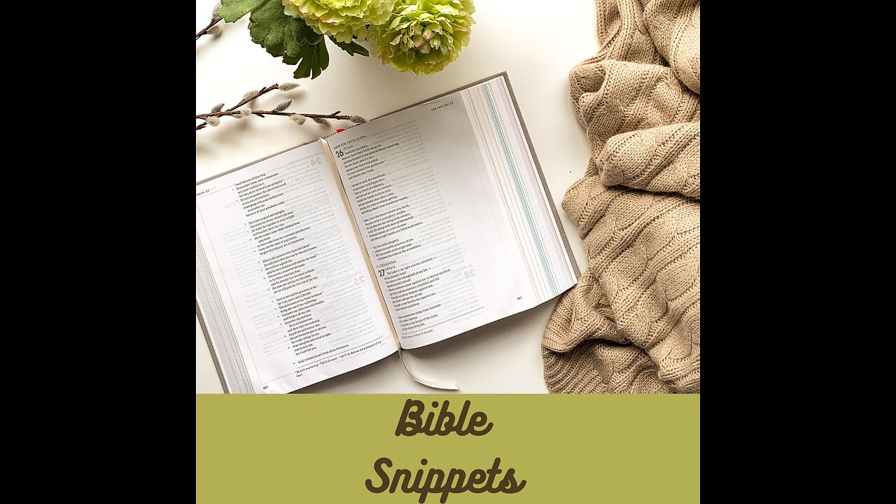 Bible Snippets 1