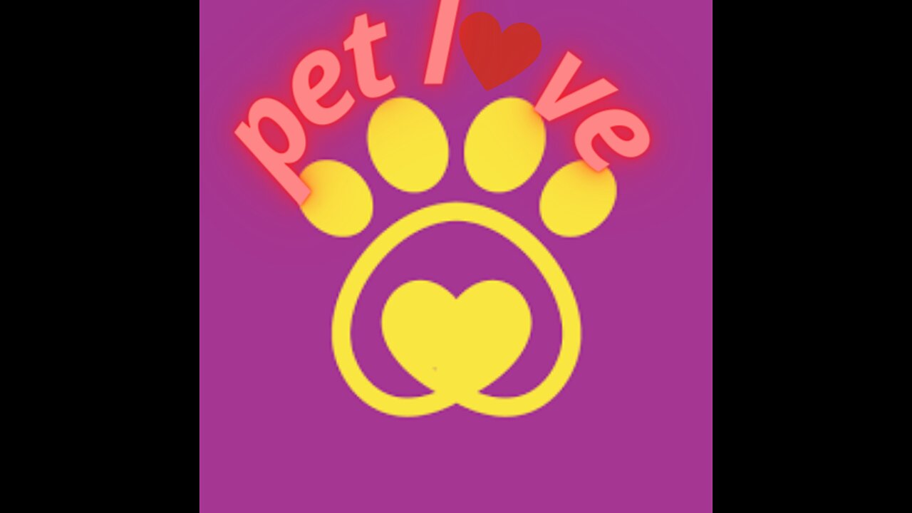 LOVE PET