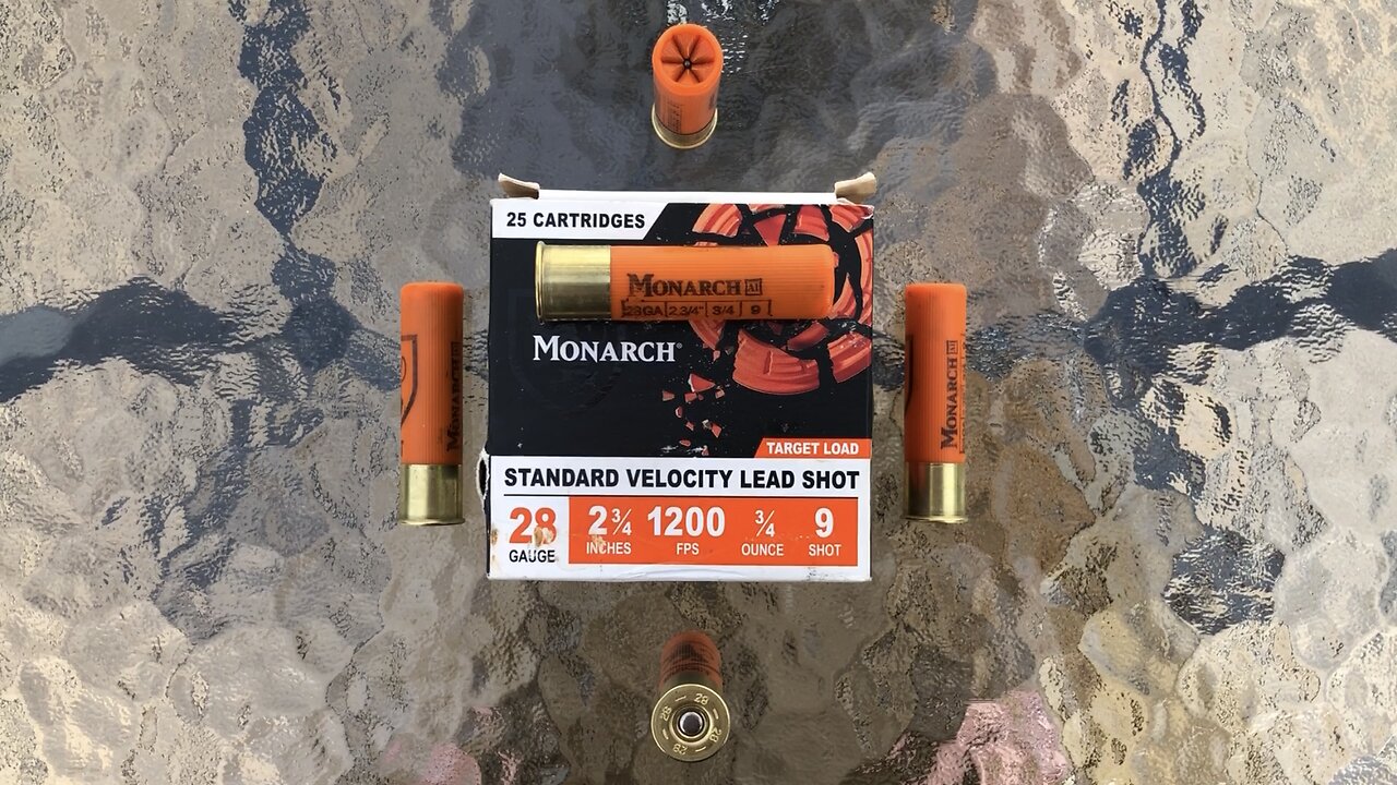 Monarch 28 Gauge #9 Lead Target Load - Breakdown