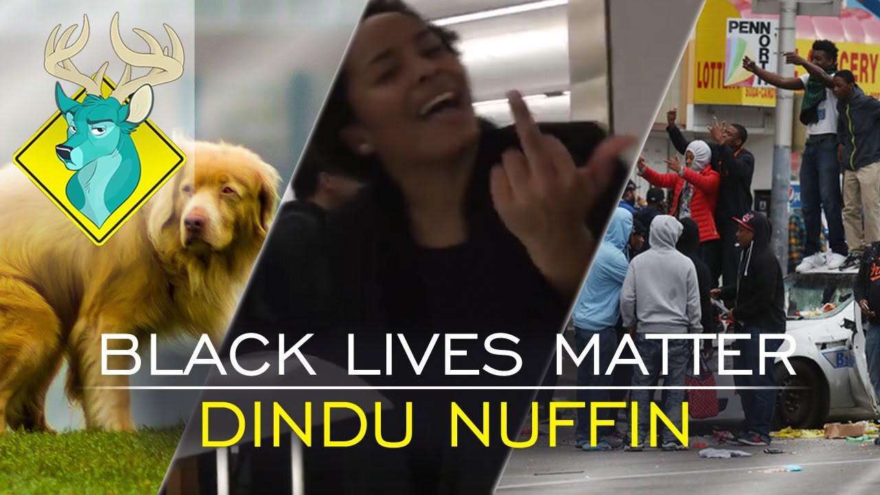 TL;DR - Black Lives Matter Dindu Nuffin [23/Nov/16]