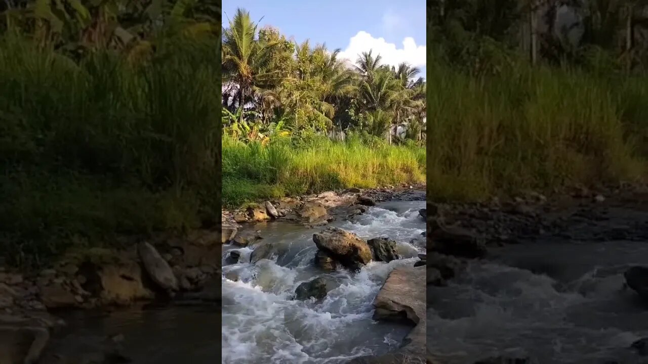 sungai