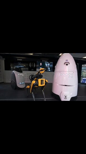 NYC Mayor Announces New Police Tech, Robotic Dog