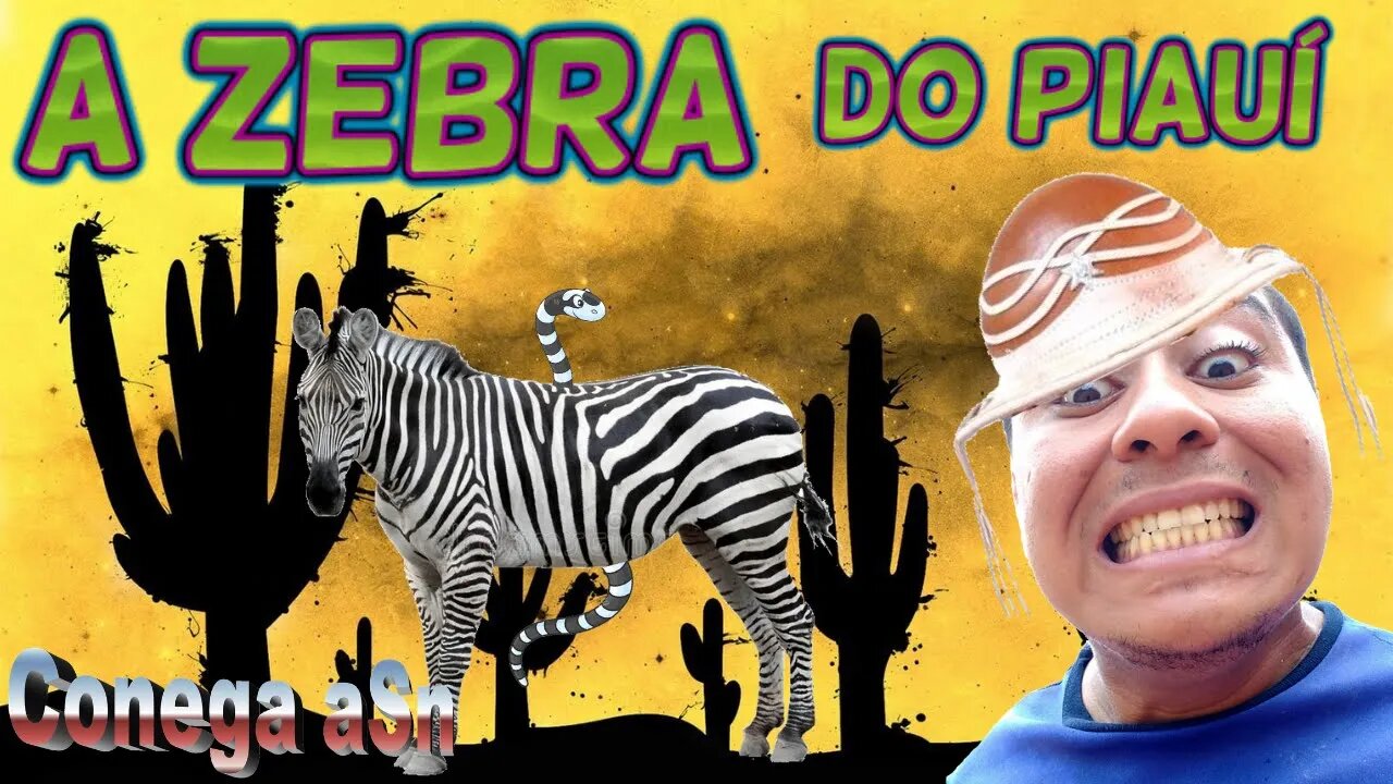 Conega aSn e A Zebra do Piauí (Um relato)