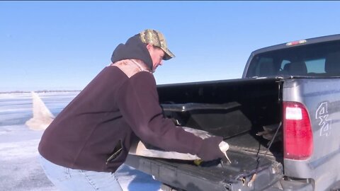 'It’s like spearing a shark': Sturgeon spearing opening day