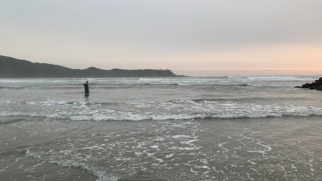 Tofino