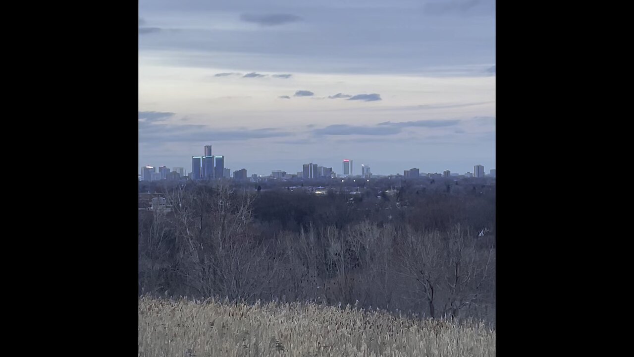 Detroit Michigan skyline