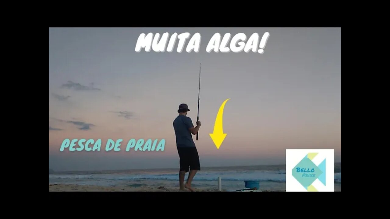 PESCARIA NA PRAIA DA RESERVA PELA TARDE (PAMPO GALHUDO E XERELETE) - Belle Peixe