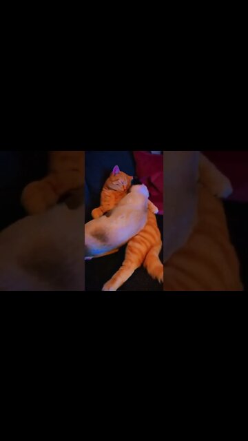 We’ll Sleep Together This Summer