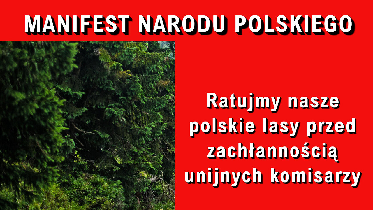 Ratujmy nasze polskie lasy przed zachłannością unijnych komisarzy