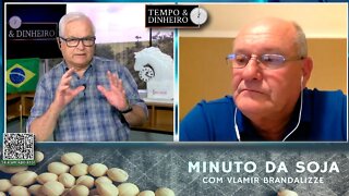 Milho com excelentes cotações nos portos