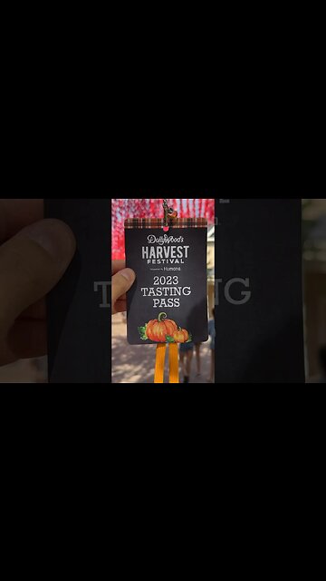 Top 5 Dollywood Harvest Festival Foods | Is The Tasting Pass Worth It?