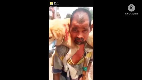 New Funny video 2022, viral video 2022, viral funny video, viral funny shorts, how to make funny