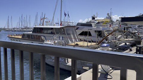 Visit to Cannes marina