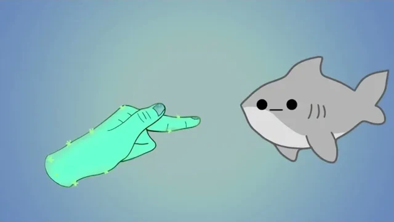 Shark Boop