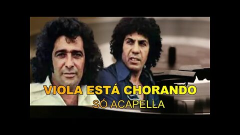 Viola Está Chorando João Mineiro e Marciano ACapella