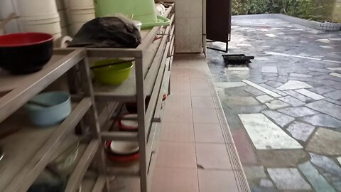 去厂里饭堂吃早餐