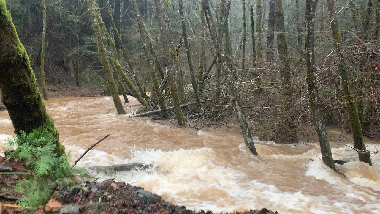 Raging creek