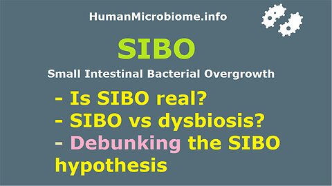 Is SIBO real? SIBO vs dysbiosis? Debunking the SIBO hypothesis