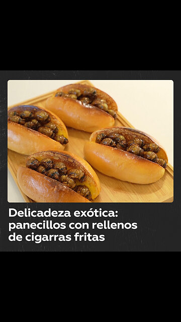 Panadería china sirve panecillos rellenos de insectos fritos