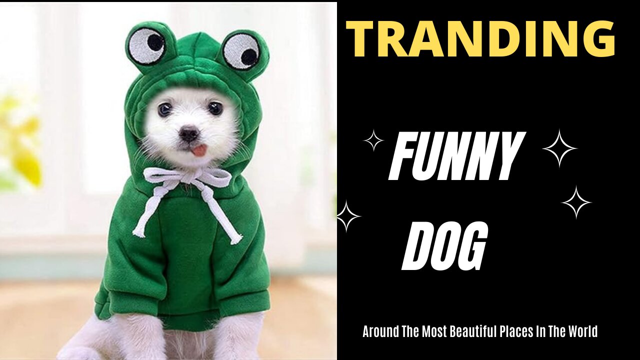 Funny Dog Hoodie, Dog Sweater Cute Apple Banana Frog Shape