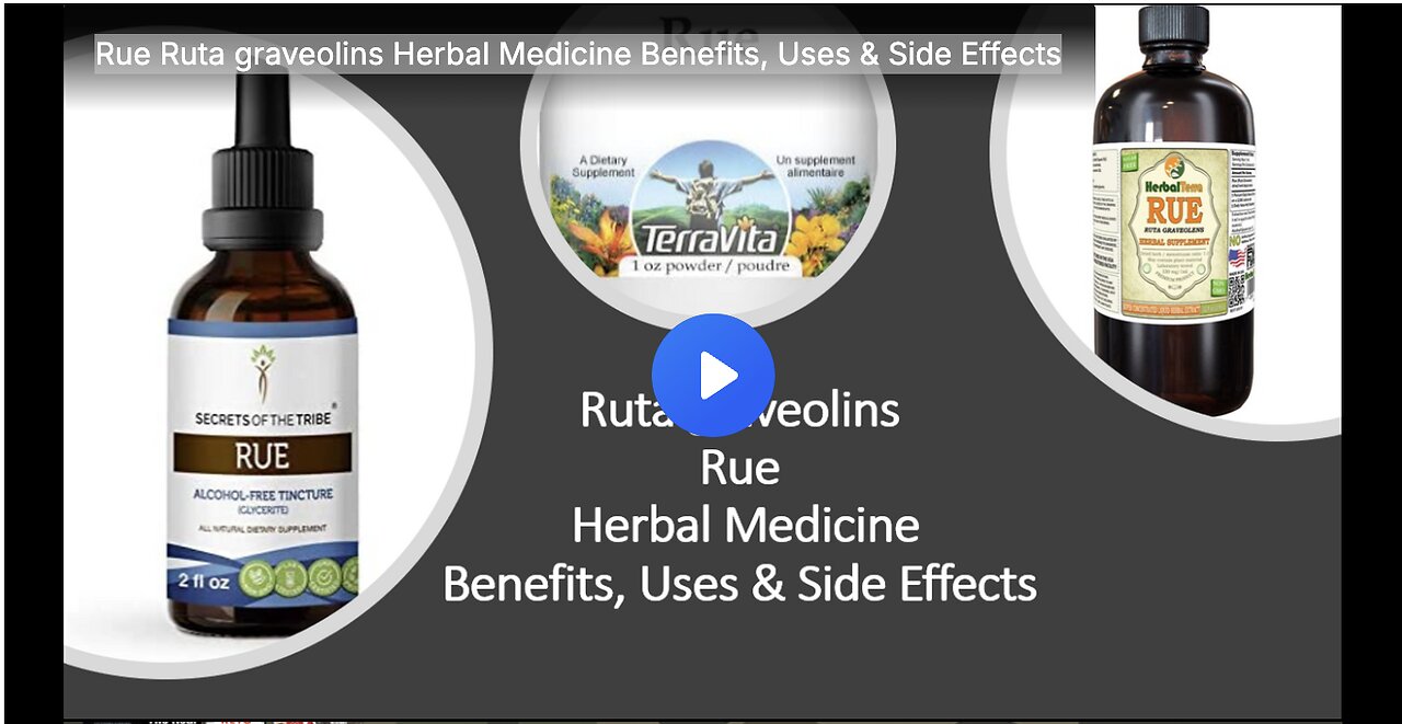 Rue Ruta graveolins Herbal Medicine Benefits, Uses & Side Effects