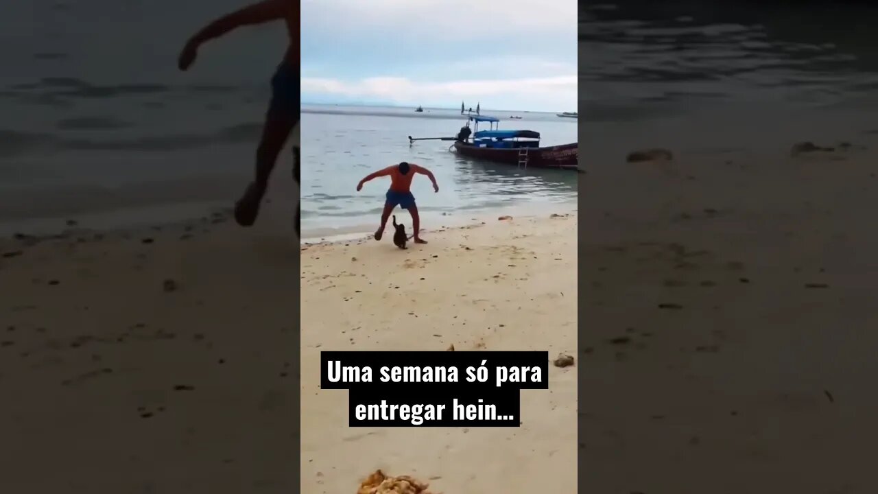 Modelos de Machine Learning em uma semana a [TOQUE DE CAIXA] 😅