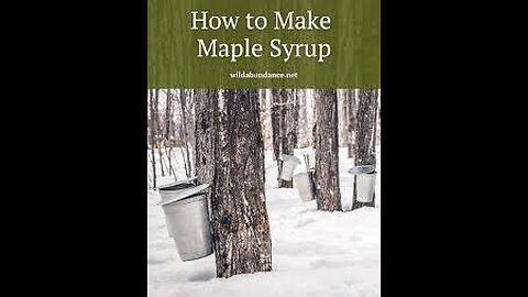 How to nake Maple Syrup